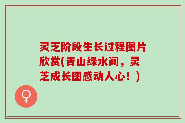 灵芝阶段生长过程图片欣赏(青山绿水间,灵芝成长图感动人心!) 灵芝阶段生长过程图片欣赏(青山绿水间,灵芝成长图感动人心!)