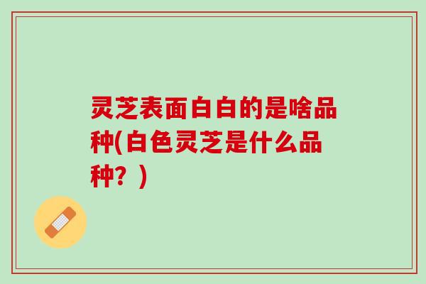 灵芝表面白白的是啥品种(白色灵芝是什么品种？)