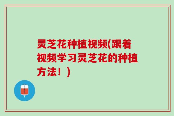 灵芝花种植视频(跟着视频学习灵芝花的种植方法！)