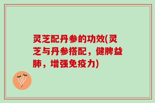 灵芝配丹参的功效(灵芝与丹参搭配，健脾益，增强免疫力)