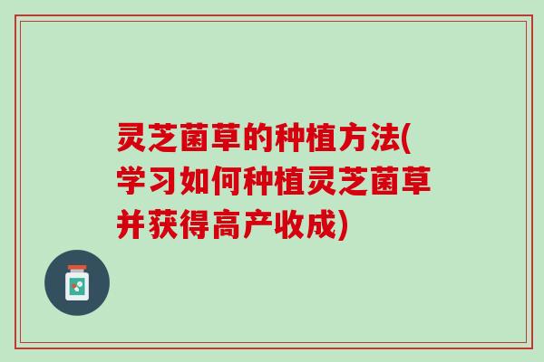 灵芝菌草的种植方法(学习如何种植灵芝菌草并获得高产收成)