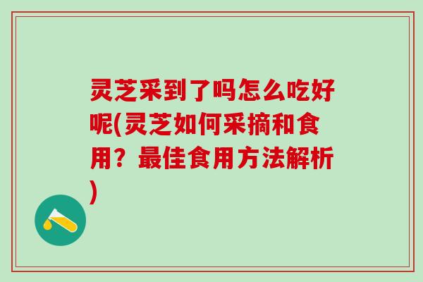 灵芝采到了吗怎么吃好呢(灵芝如何采摘和食用？佳食用方法解析)