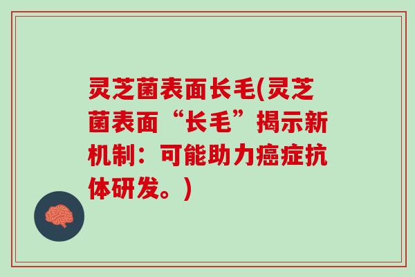 灵芝菌表面长毛(灵芝菌表面“长毛”揭示新机制：可能助力癌症抗体研发。)