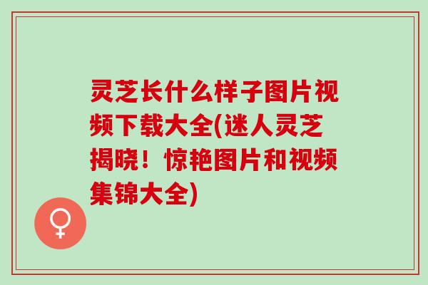 灵芝长什么样子图片视频下载大全(迷人灵芝揭晓！惊艳图片和视频集锦大全)