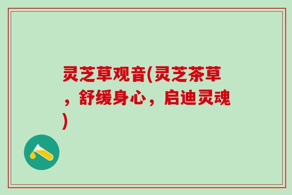 灵芝草观音(灵芝茶草，舒缓身心，启迪灵魂)