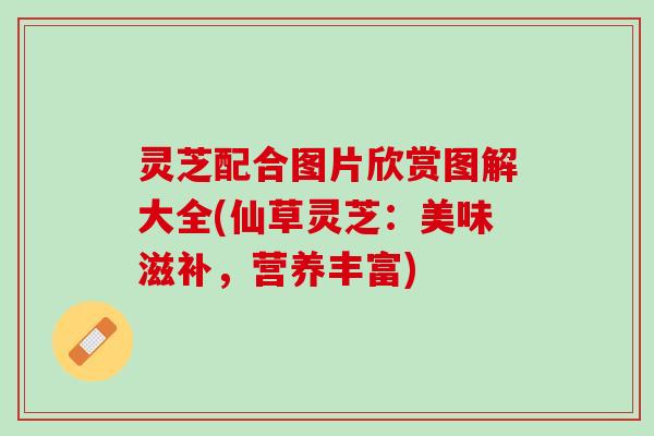 灵芝配合图片欣赏图解大全(仙草灵芝：美味滋补，营养丰富)