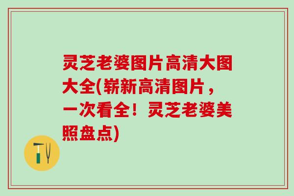 灵芝老婆图片高清大图大全(崭新高清图片,一次看全!灵芝老婆美照盘点) 灵芝老婆图片高清大图大全(崭新高清图片,一次看全!灵芝老婆美照盘点)