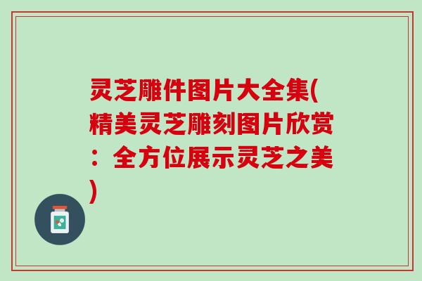 灵芝雕件图片大全集(精美灵芝雕刻图片欣赏：全方位展示灵芝之美)