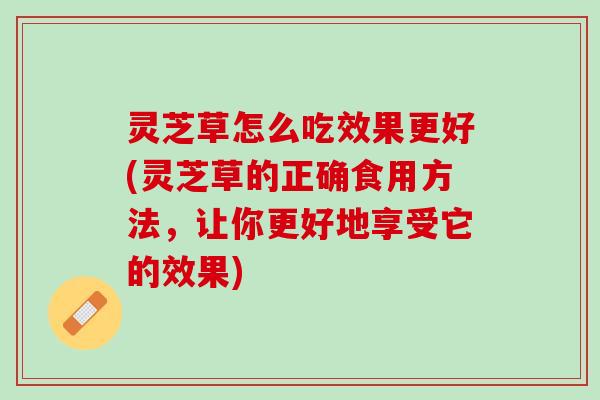 灵芝草怎么吃效果更好(灵芝草的正确食用方法，让你更好地享受它的效果)