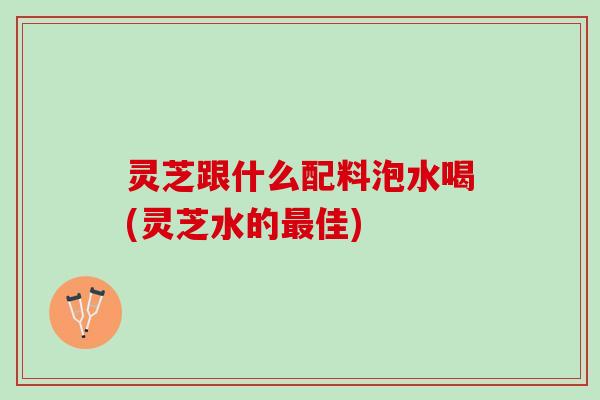 灵芝跟什么配料泡水喝(灵芝水的最佳)