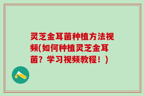 灵芝金耳菌种植方法视频(如何种植灵芝金耳菌？学习视频教程！)