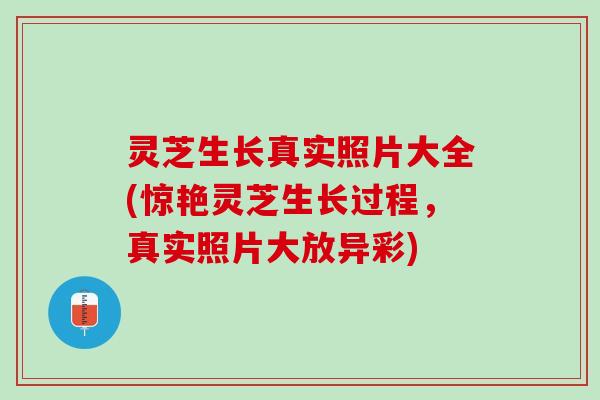 灵芝生长真实照片大全(惊艳灵芝生长过程，真实照片大放异彩)