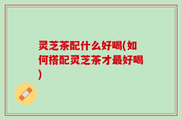 灵芝茶配什么好喝(如何搭配灵芝茶才最好喝)