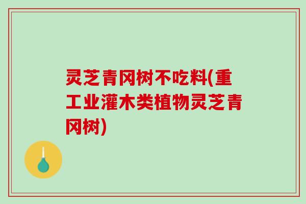 灵芝青冈树不吃料(重工业灌木类植物灵芝青冈树)