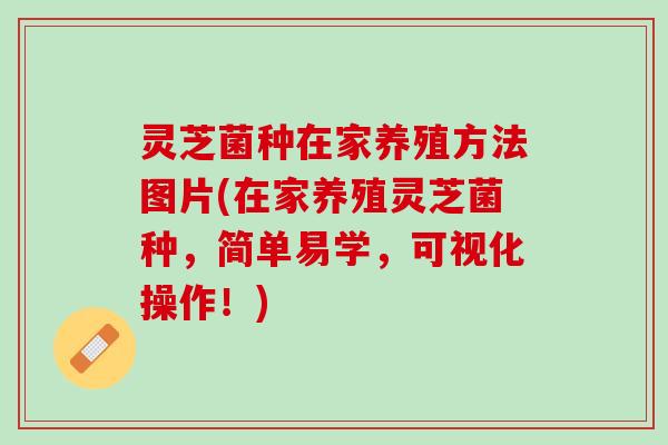 灵芝菌种在家养殖方法图片(在家养殖灵芝菌种，简单易学，可视化操作！)