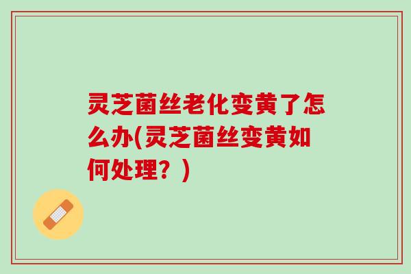 灵芝菌丝老化变黄了怎么办(灵芝菌丝变黄如何处理？)
