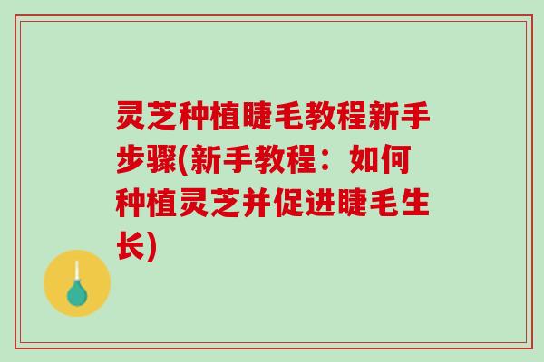 灵芝种植睫毛教程新手步骤(新手教程:如何种植灵芝并促进睫毛生长) 灵芝种植睫毛教程新手步骤(新手教程:如何种植灵芝并促进睫毛生长)