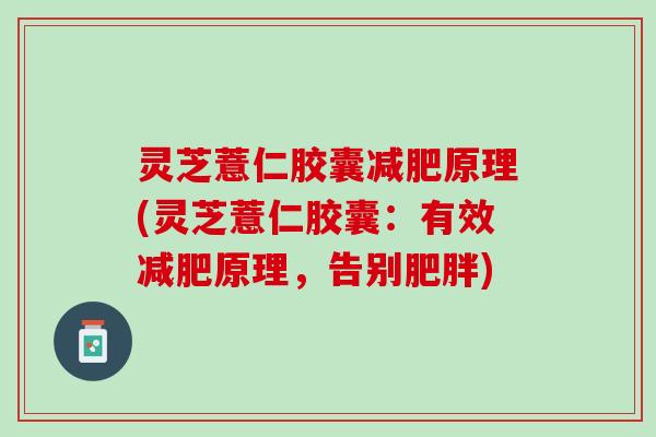灵芝薏仁胶囊减肥原理(灵芝薏仁胶囊：有效减肥原理，告别肥胖)