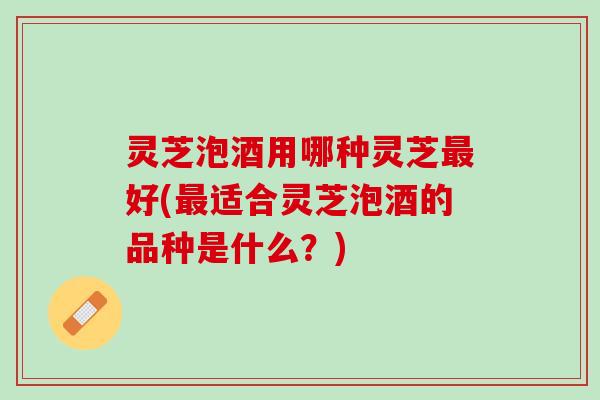 灵芝泡酒用哪种灵芝最好(最适合灵芝泡酒的品种是什么？)