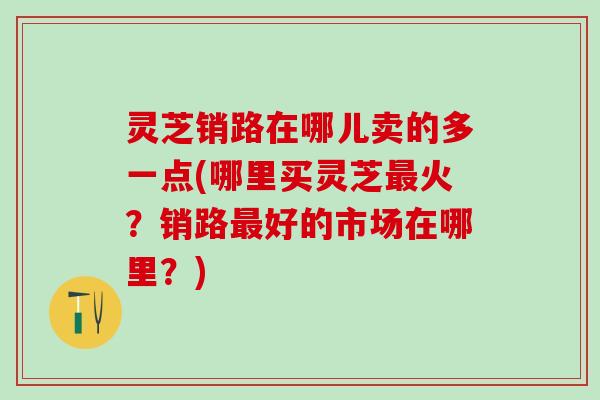 灵芝销路在哪儿卖的多一点(哪里买灵芝最火？销路最好的市场在哪里？)
