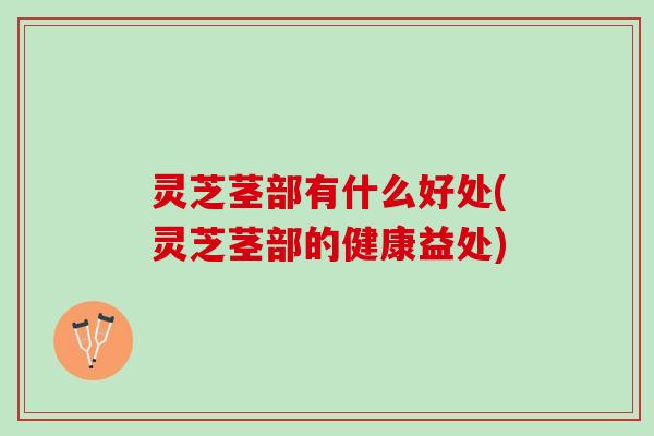 灵芝茎部有什么好处(灵芝茎部的健康益处)