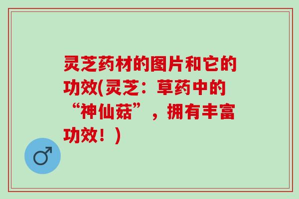 灵芝药材的图片和它的功效(灵芝：草药中的“神仙菇”，拥有丰富功效！)