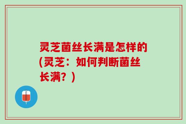 灵芝菌丝长满是怎样的(灵芝：如何判断菌丝长满？)