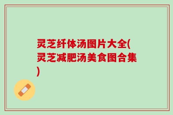 灵芝纤体汤图片大全(灵芝减肥汤美食图合集)