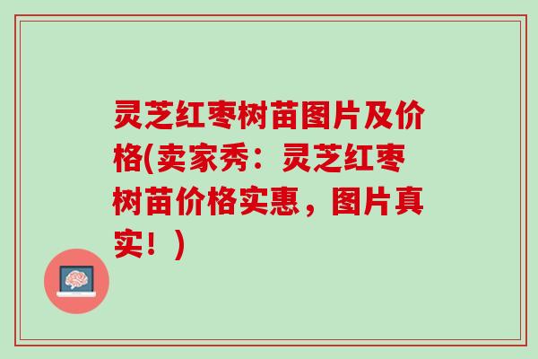 灵芝红枣树苗图片及价格(卖家秀：灵芝红枣树苗价格实惠，图片真实！)