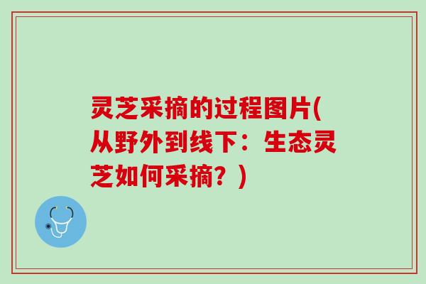 灵芝采摘的过程图片(从野外到线下：生态灵芝如何采摘？)