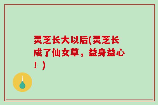 灵芝长大以后(灵芝长成了仙女草，益身益心！)