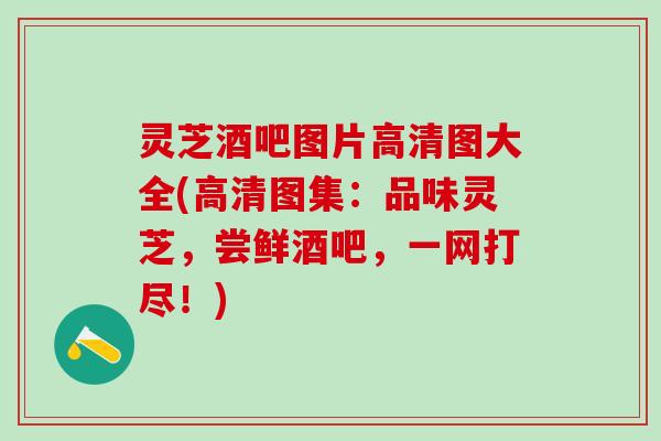 灵芝酒吧图片高清图大全(高清图集：品味灵芝，尝鲜酒吧，一网打尽！)
