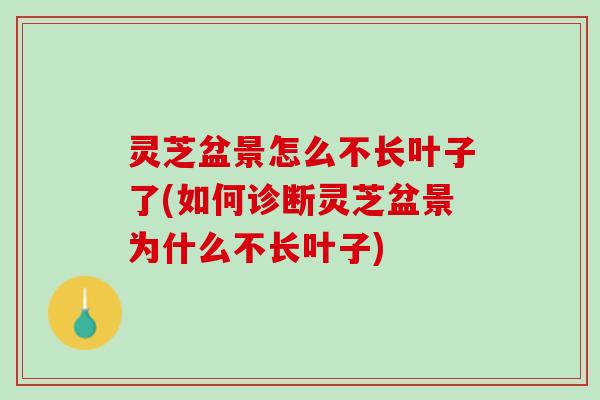 灵芝盆景怎么不长叶子了(如何诊断灵芝盆景为什么不长叶子)