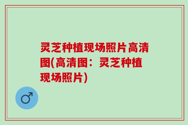 灵芝种植现场照片高清图(高清图：灵芝种植现场照片)
