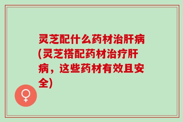 灵芝配什么药材治肝病(灵芝搭配药材治疗肝病，这些药材有效且安全)