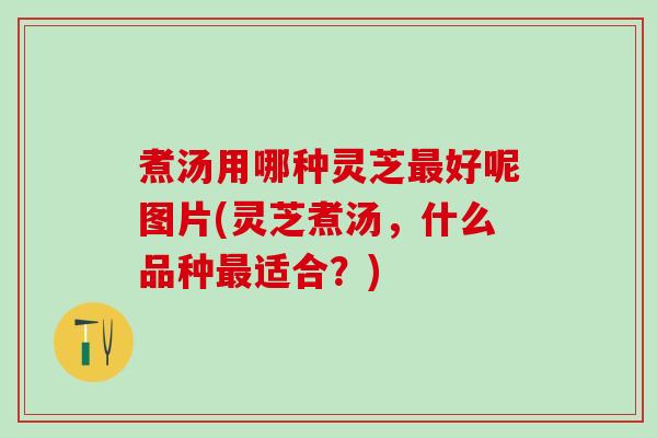 煮汤用哪种灵芝最好呢图片(灵芝煮汤，什么品种最适合？)