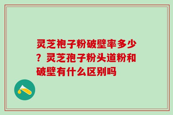 灵芝袍子粉破壁率多少？灵芝孢子粉头道粉和破壁有什么区别吗