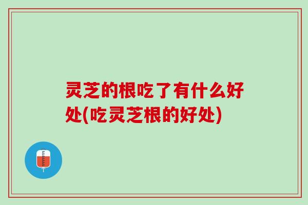 灵芝的根吃了有什么好处(吃灵芝根的好处)