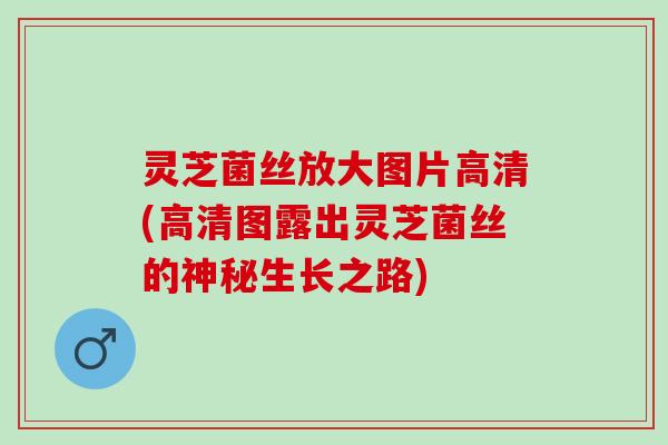 灵芝菌丝放大图片高清(高清图露出灵芝菌丝的神秘生长之路)