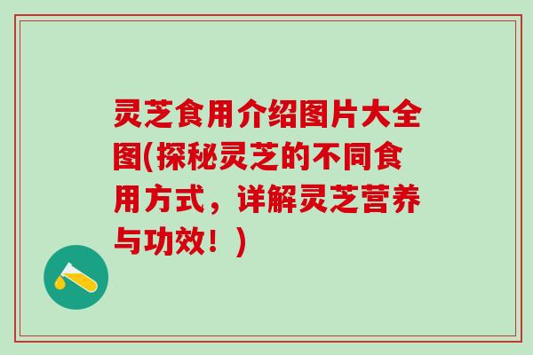灵芝食用介绍图片大全图(探秘灵芝的不同食用方式,详解灵芝营养与功效!) 灵芝食用介绍图片大全图(探秘灵芝的不同食用方式,详解灵芝营养与功效!)