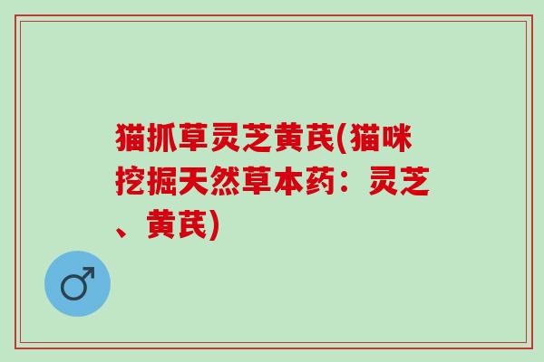 猫抓草灵芝黄芪(猫咪挖掘天然草本药:灵芝、黄芪) 猫抓草灵芝黄芪(猫咪挖掘天然草本药:灵芝、黄芪)