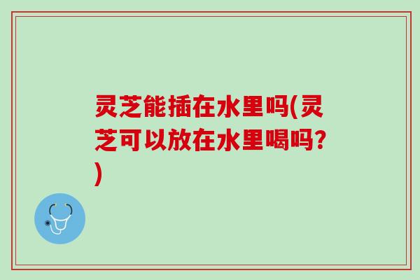 灵芝能插在水里吗(灵芝可以放在水里喝吗？)