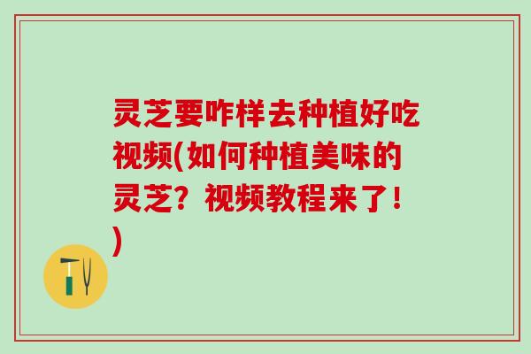 灵芝要咋样去种植好吃视频(如何种植美味的灵芝？视频教程来了！)