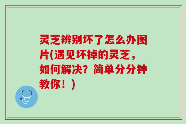 灵芝辨别坏了怎么办图片(遇见坏掉的灵芝，如何解决？简单分分钟教你！)