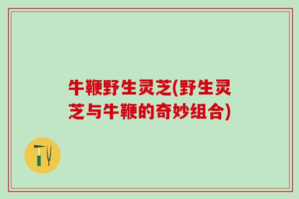牛鞭野生灵芝(野生灵芝与牛鞭的奇妙组合)
