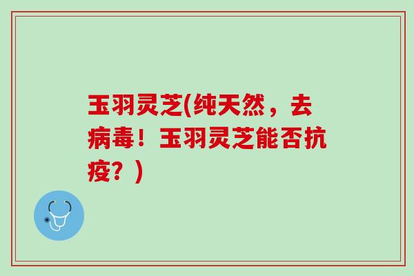 玉羽灵芝(纯天然，去病毒！玉羽灵芝能否抗疫？)