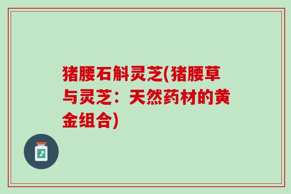 猪腰石斛灵芝(猪腰草与灵芝：天然药材的黄金组合)