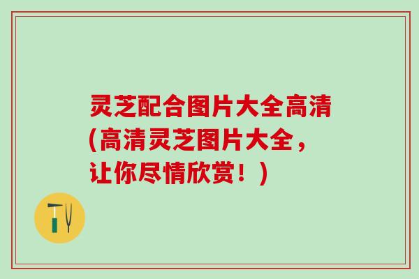 灵芝配合图片大全高清(高清灵芝图片大全，让你尽情欣赏！)