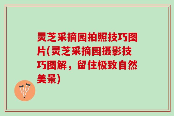 灵芝采摘园拍照技巧图片(灵芝采摘园摄影技巧图解，留住极致自然美景)
