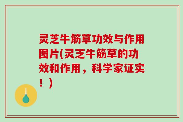 灵芝牛筋草功效与作用图片(灵芝牛筋草的功效和作用,科学家证实!) 灵芝牛筋草功效与作用图片(灵芝牛筋草的功效和作用,科学家证实!)